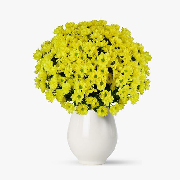 Bouquet of 21 yellow chrysanthemums