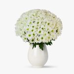 Buchet-de-21-crizanteme-albe