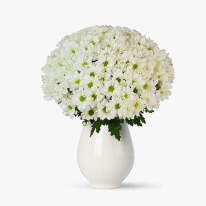 Buchet de 21 crizanteme albe