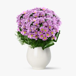 Bouquet of 25 pink chrysanthemums