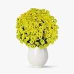 Buchet-de-25-crizanteme-galbene