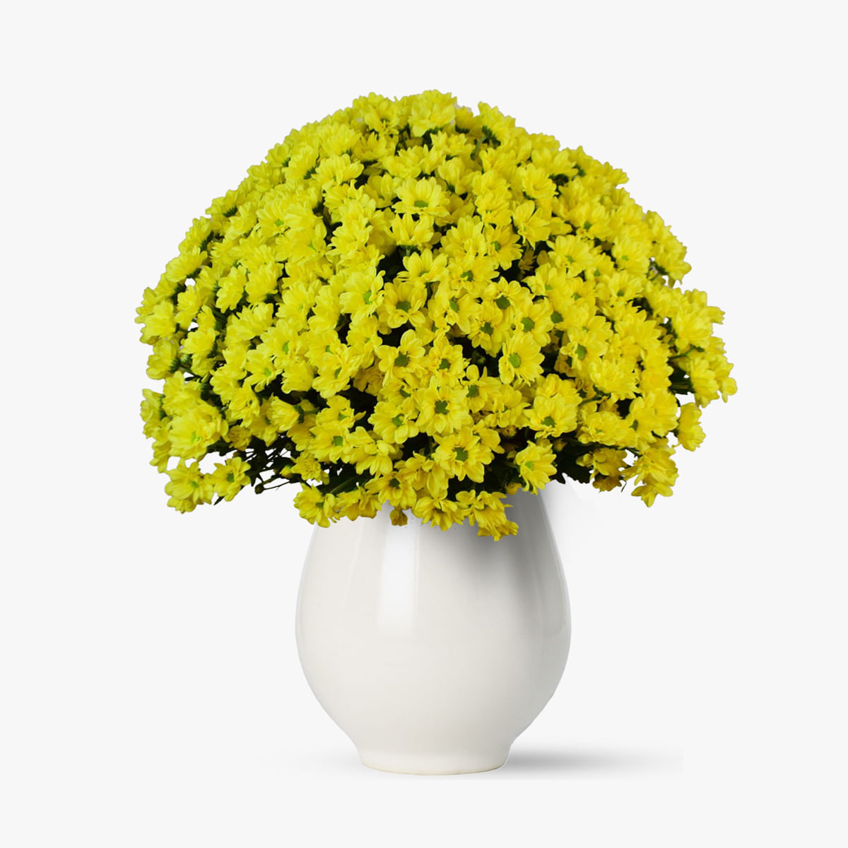 Buchet de 35 crizanteme galbene Floria imagine 2022