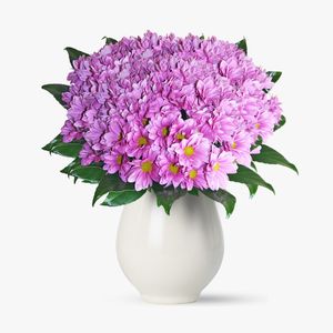 Bouquet of 45 pink chrysanthemums