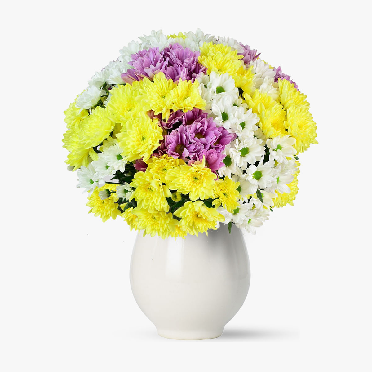 Buchet de 45 crizanteme multicolore pentru a insenina ziua persoanei dragi