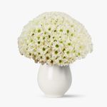 Buchet-de-45-crizanteme-albe