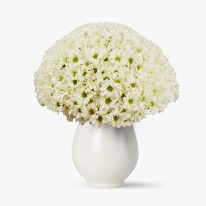 Buchet de 45 crizanteme albe