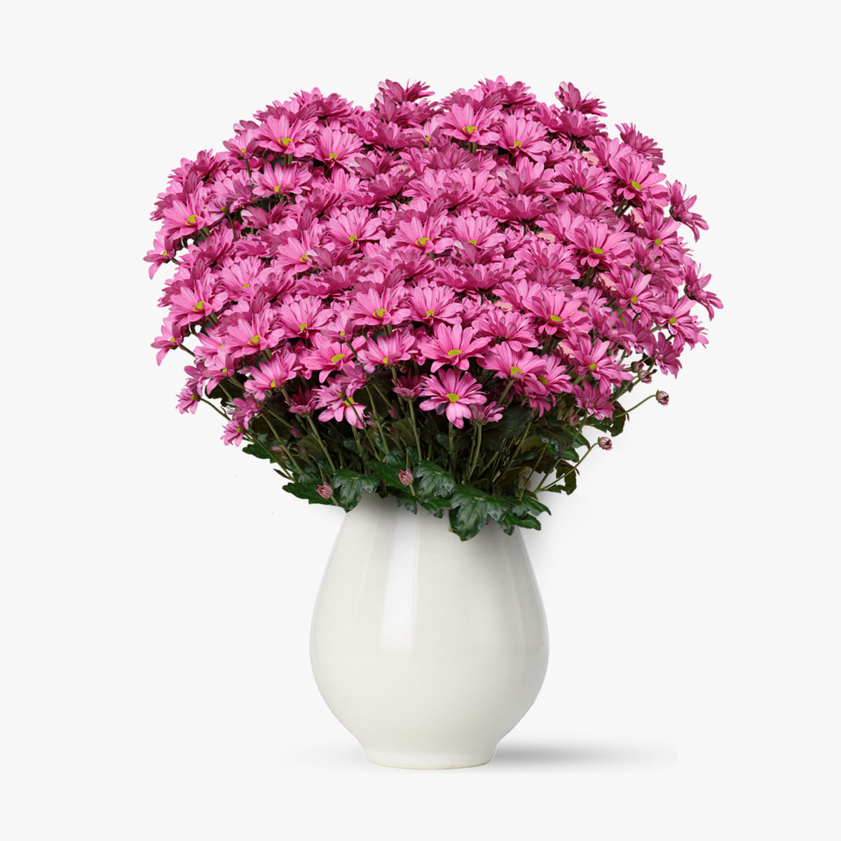 Buchet de 75 crizanteme roz – Standard