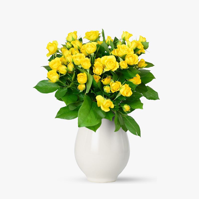 Buchet-de-9-minirosa-galbene