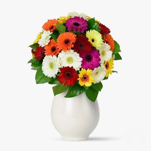 Bouquet of 35 multicolored gerbera