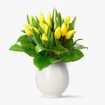 ezgif.com-gif-maker_cleanup