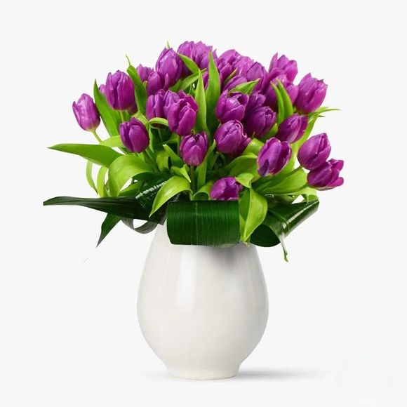 Bouquet of 35 purple tulips