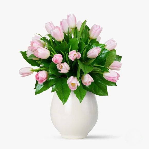 Bouquet of 25 pink tulips