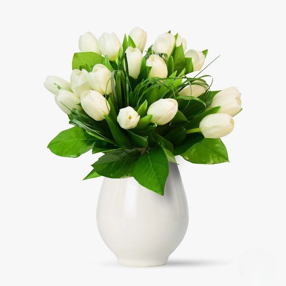 Bouquet of 25 white tulips