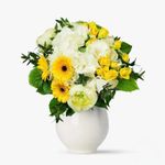 ezgif.com-gif-maker--1-_cleanup