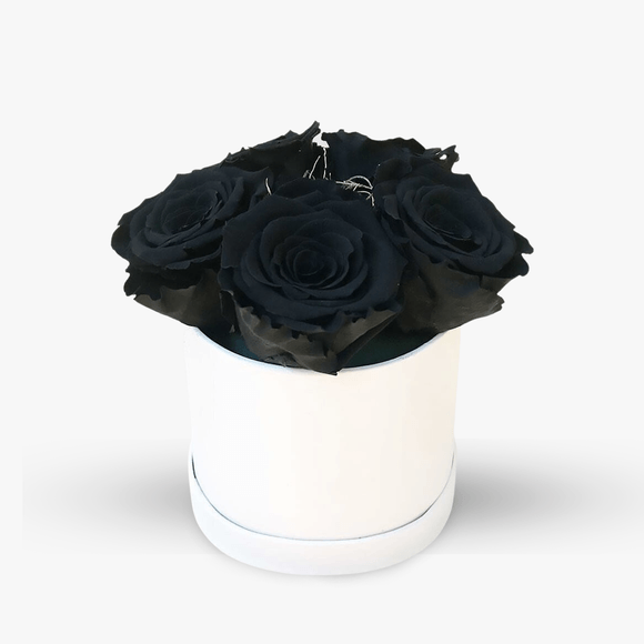 Box with 5 black, cryogenic roses