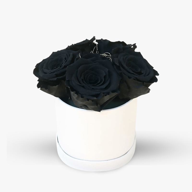 Cutie-cu-5-trandafiri-negri-criogenati