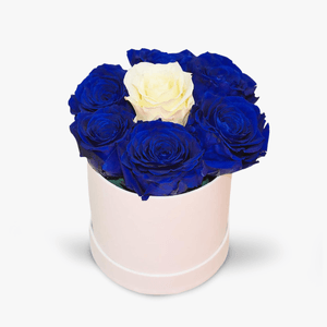 Cutie cu 7 trandafiri, albastri si albi, criogenati