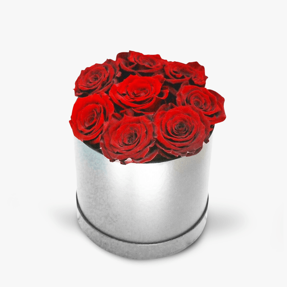 Box with 9 red, cryogenic roses