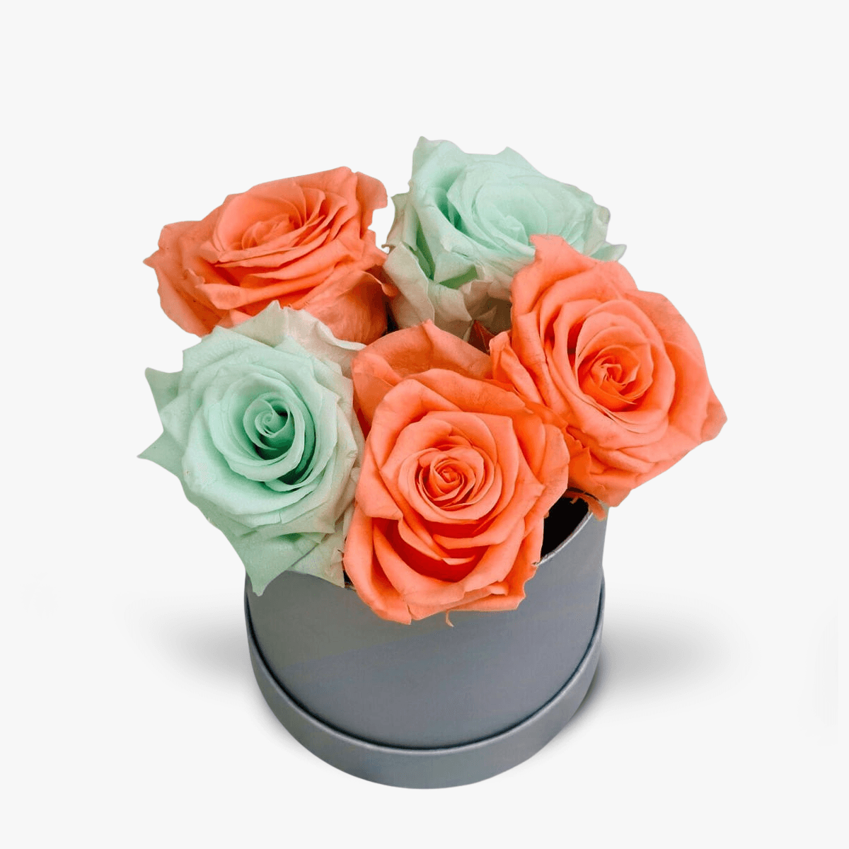 Cutie cu 5 trandafiri criogenati multicolori – Standard