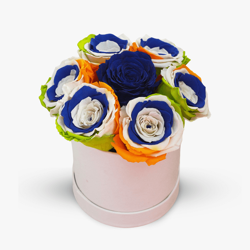 Cutie-cu-6-trandafiri-criogenati-multicolori