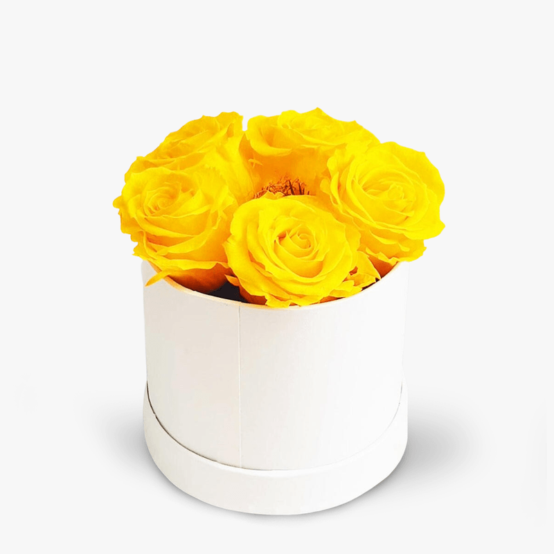 Cutie-cu-5-trandafiri-galbeni-criogenati