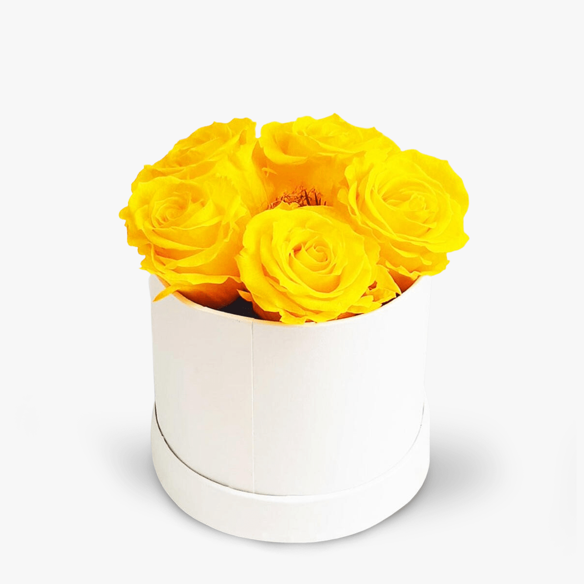 Cutie cu 5 trandafiri galbeni criogenati – Standard