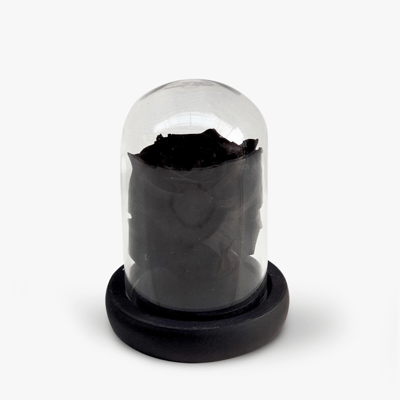 Trandafir-criogerat-negru-in-mini-cupola