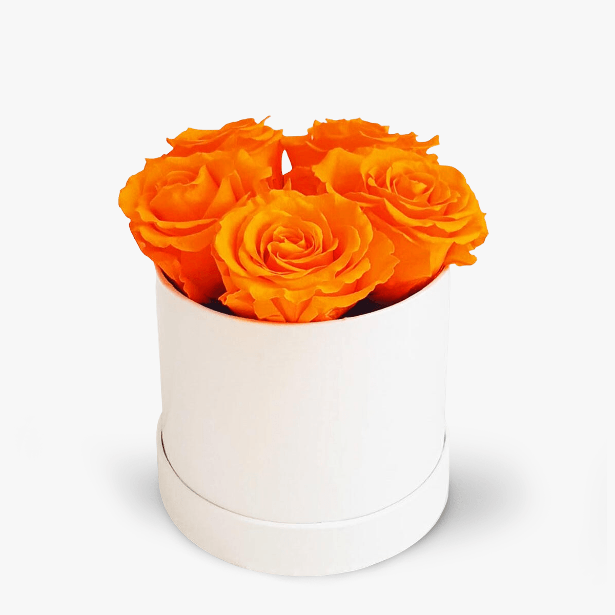 Cutie 5 trandafiri criogenati portocalii – Standard criogenati