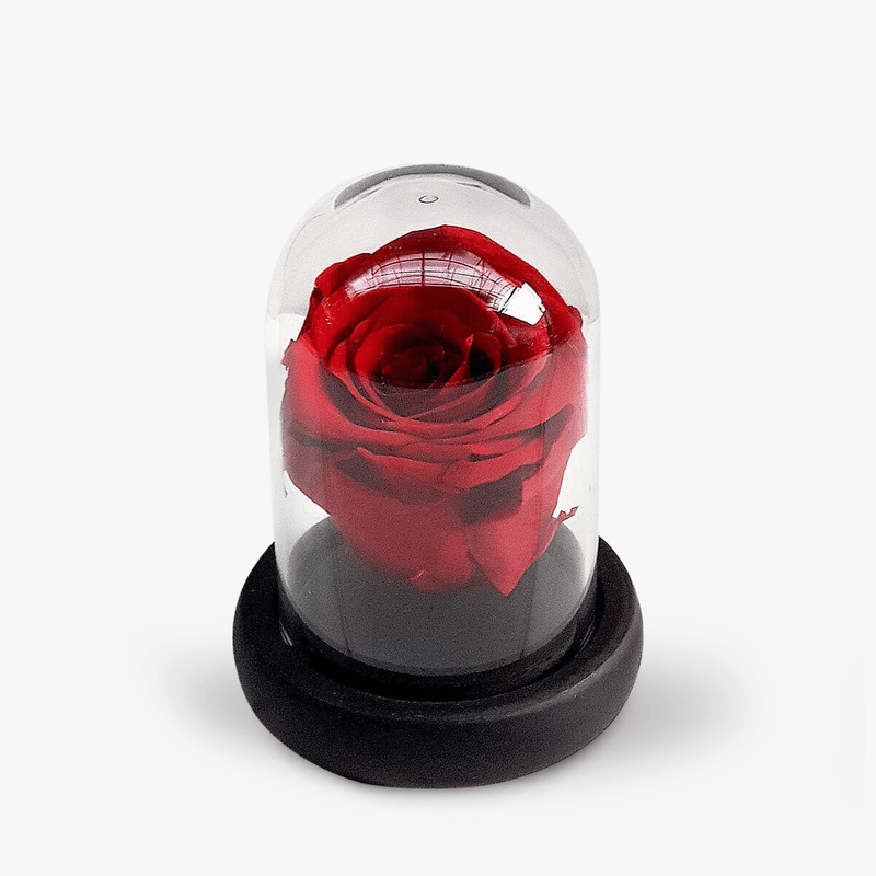 Trandafir-criogerat-rosu-in-mini-cupola