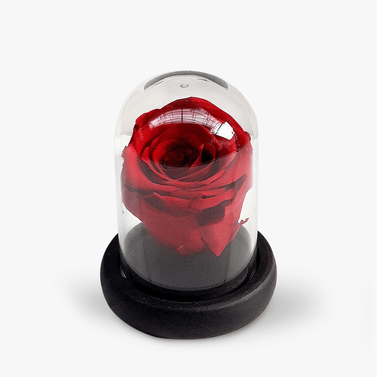 Trandafir criogerat rosu in mini cupola – Standard
