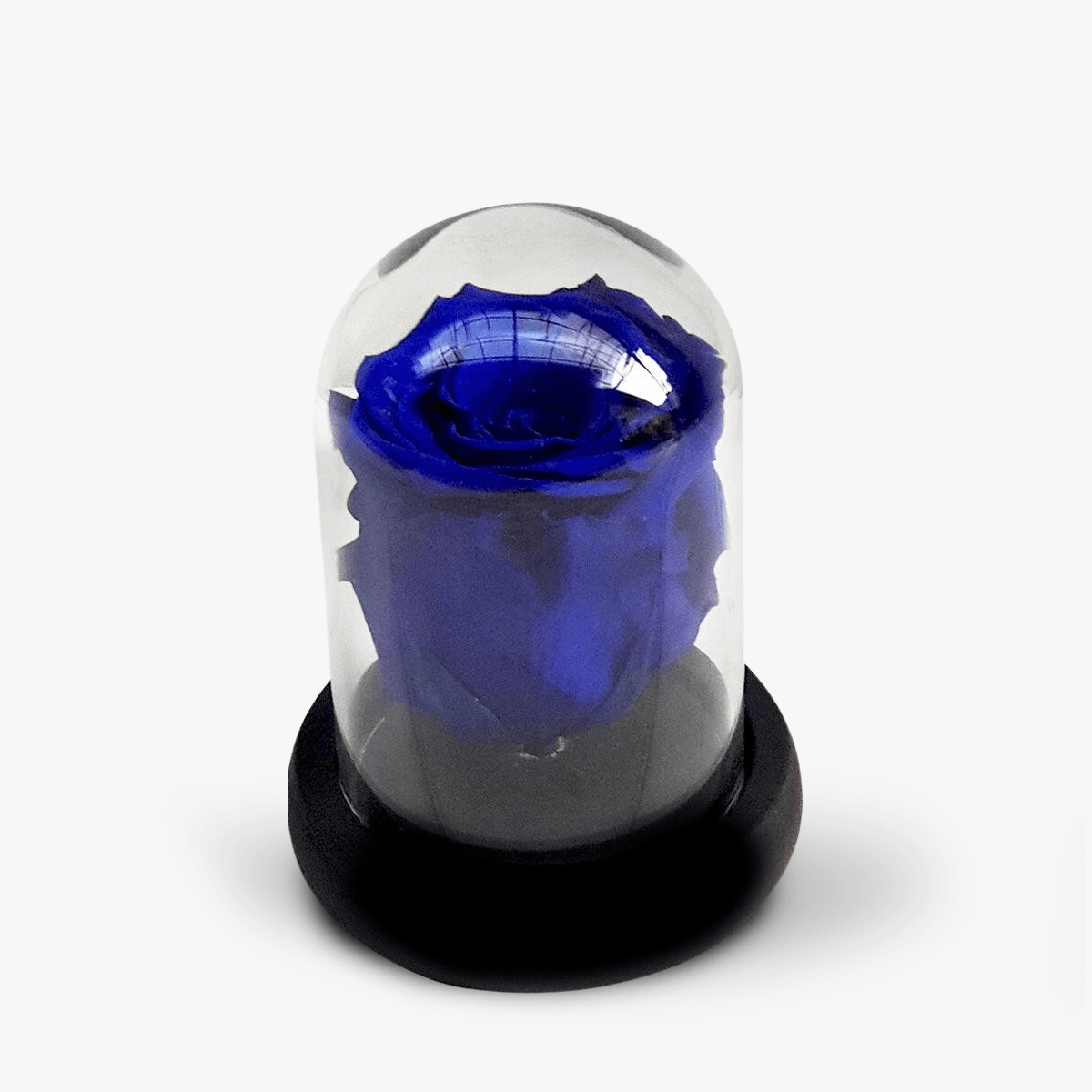 Trandafir criogerat albastru in mini cupola – Standard