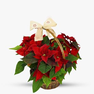 Christmas arrangement in basket