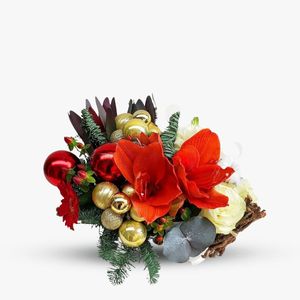 Christmas arrangement with amaryllis