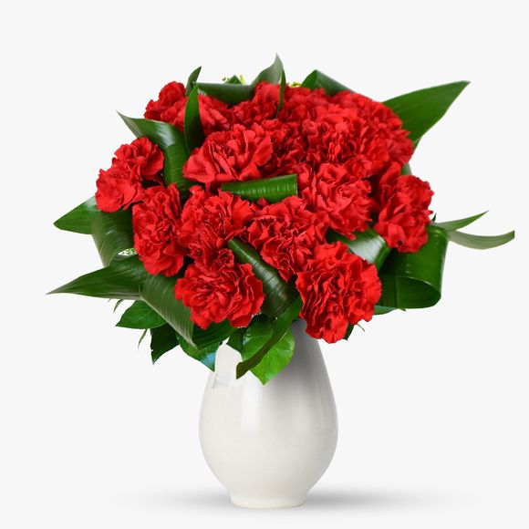 Buchet de 19 garoafe rosii