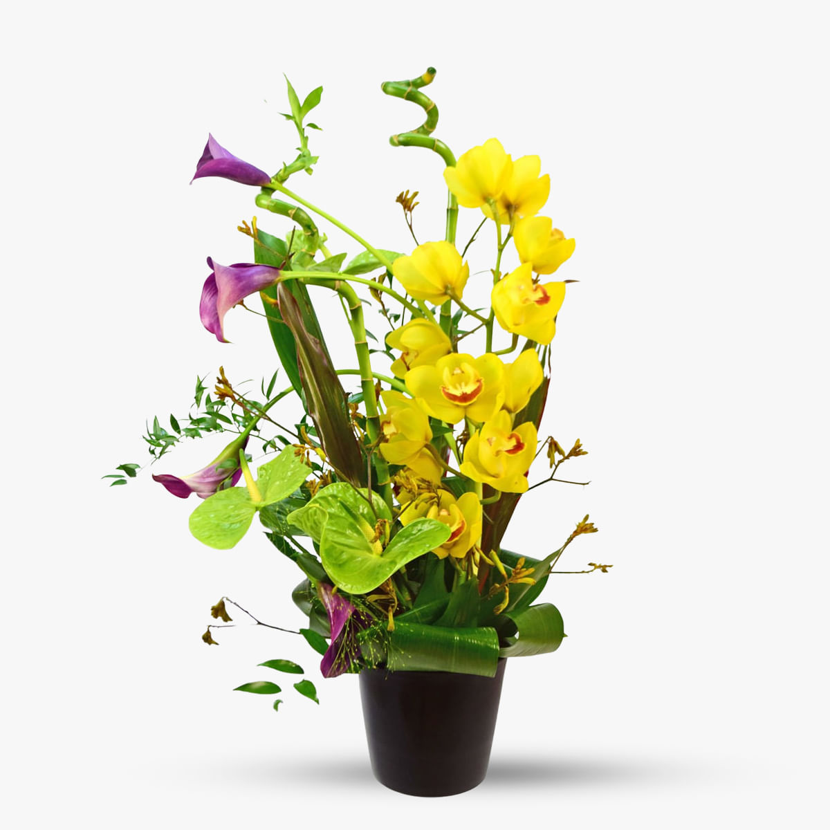 Aranjament floral cu anthurium si cale – Standard anthurium