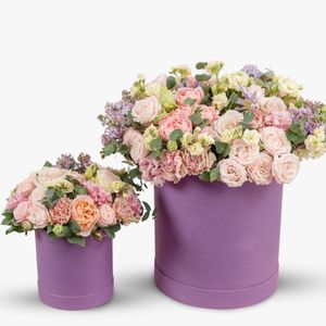 Small-Large Arrangement Package