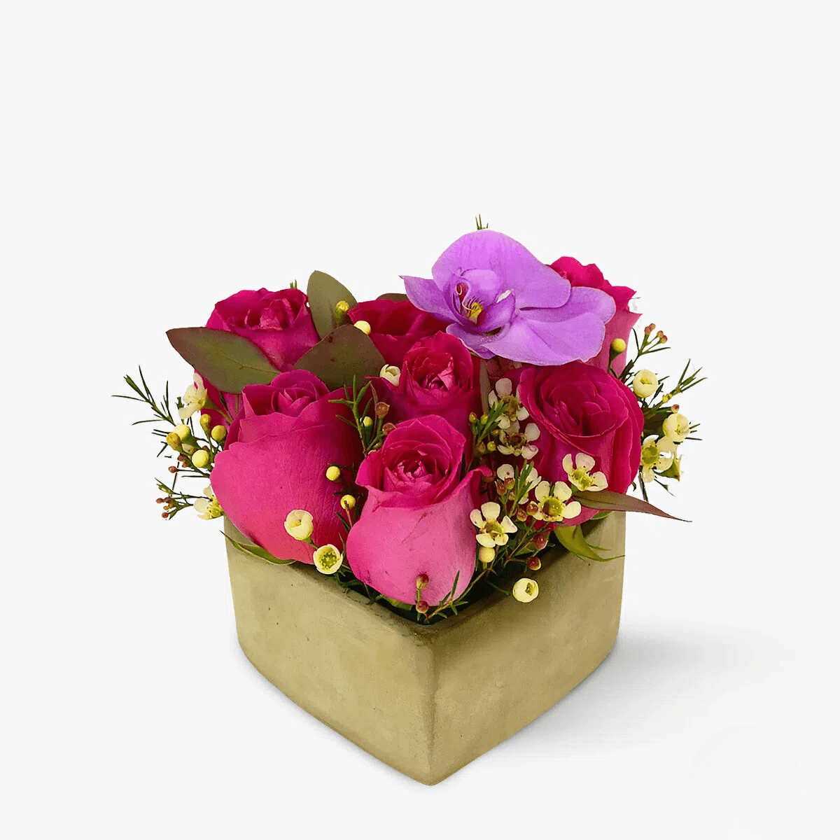 Aranjament floral cu 7 trandafiri roz, 1 Phalenopsis, 1 wax Pofta de dragoste