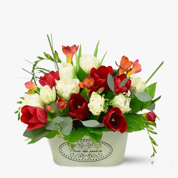 White and red arrangement