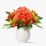 ezgif.com-webp-to