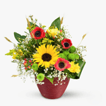 ezgif.com-webp-to