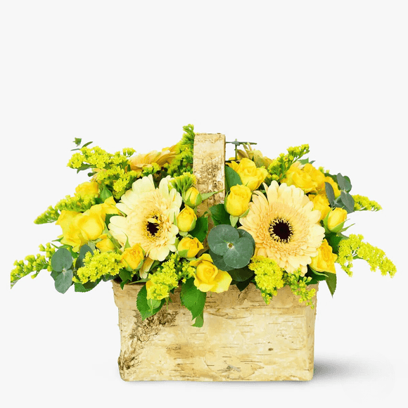 Buttercup arrangement