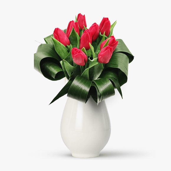 Bouquet of 9 red tulips