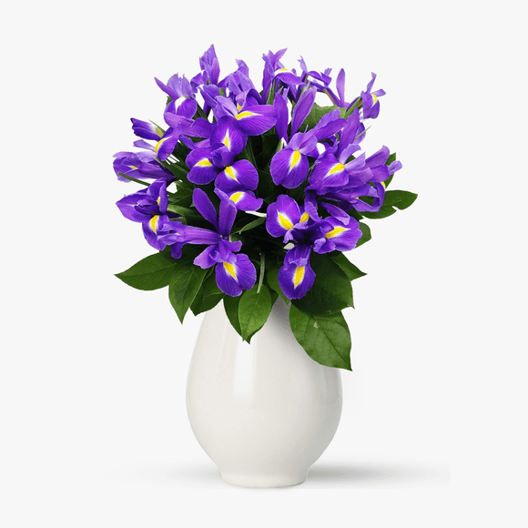 Buchet de 15 irisi mov