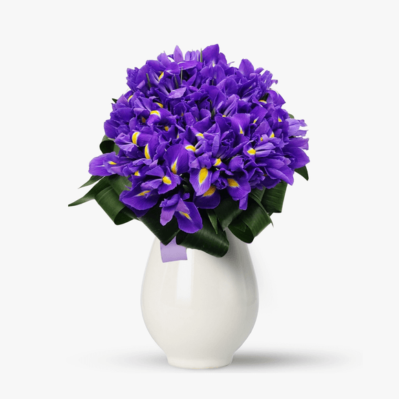 Bouquet of 55 irises purple