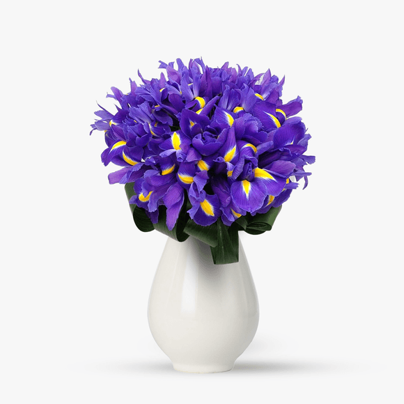 Bouquet of 25 purple irises