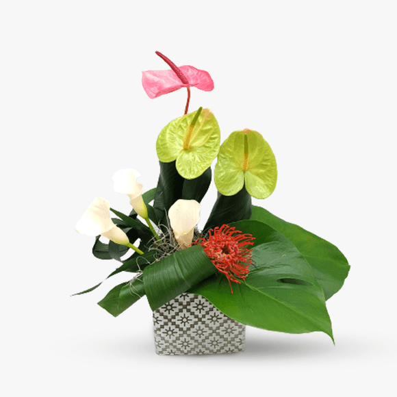 Aranjament floral cu anthurium si cale