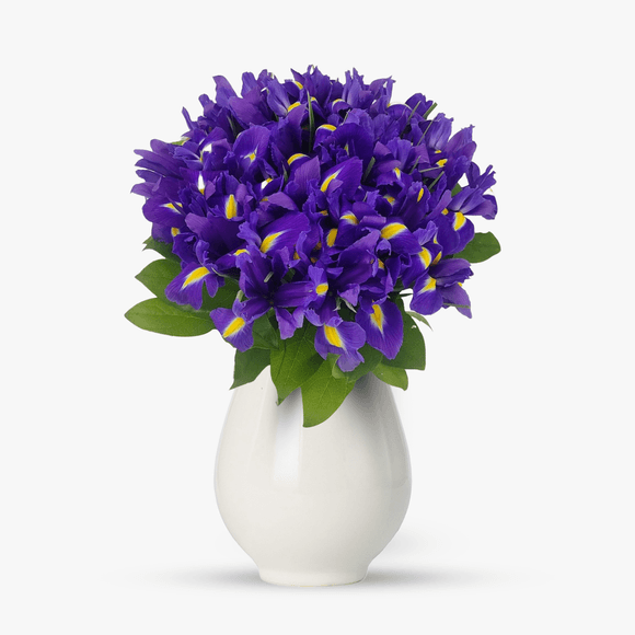 Buchet de 35 irisi mov