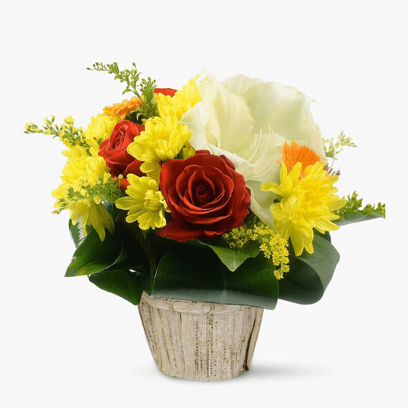 Cos-cu-flori---Rodul-florilor