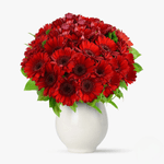 Buchet-de-55-gerbera-rosii