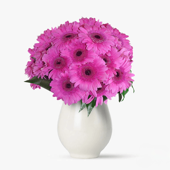 Buchet de 23 gerbera roz